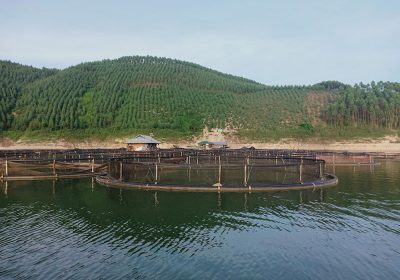 Lồng nuôi cá biển bằng nhựa HDPE tại Nha Trang