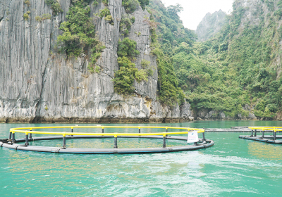 Mô hình lồng tròn từ ống và phụ kiện nhựa HDPE SuperPlas được tỉnh Quảng Ninh cấp QCĐP 08.