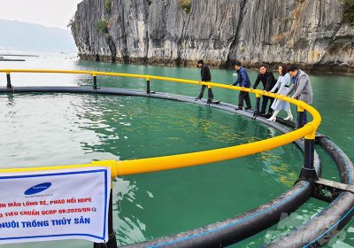 Lồng tròn HDPE nhãn hiệu SuperPlas