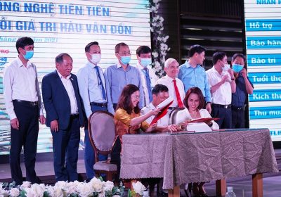 kí kết chuỗi liên kết giá trị hàu Vân Đồn