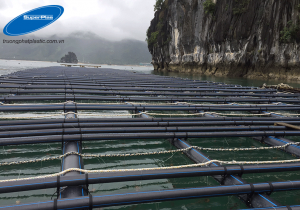 Nhựa HDPE nguyên sinh