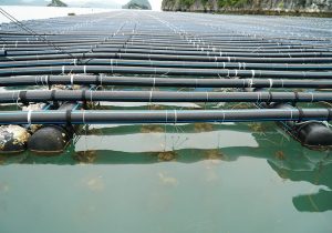 ống HDPE chịu lực